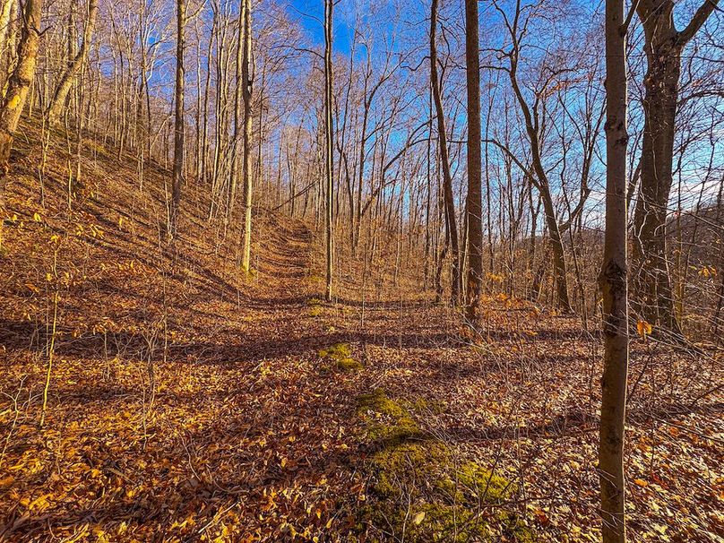 Lewis, WV 82.87 AC Barger-58