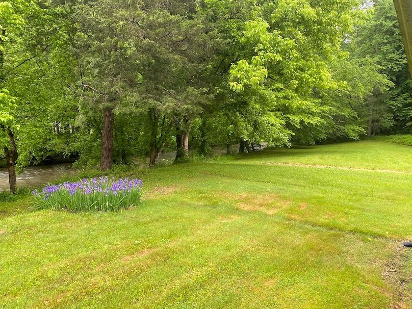 009 the view of the stream right off the front porch copy