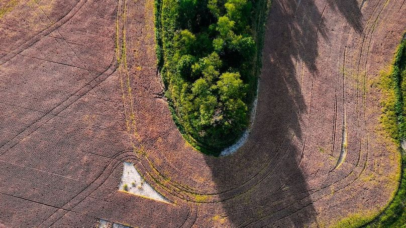 dji_fly_20250917_085040_0516_1758113881369_photo