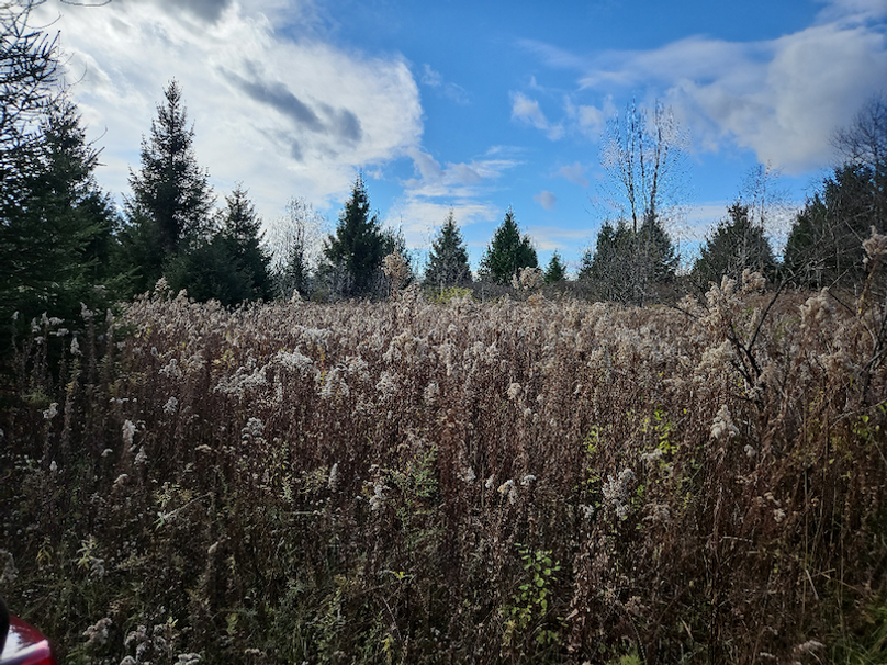 photo_2632e8ac-a244-4302-bf1e-bc079ac629c0