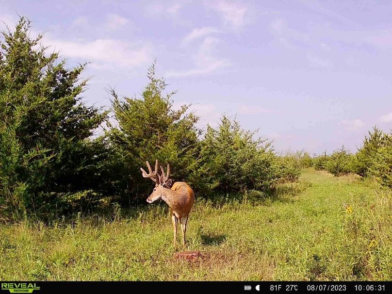 2FFA38C8-CFB2-4270-AF49-10C529B83519