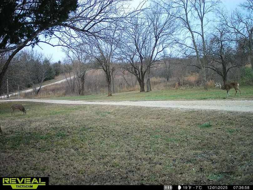 860322064782490-100-2-12022025003206-HD-SYEW4208