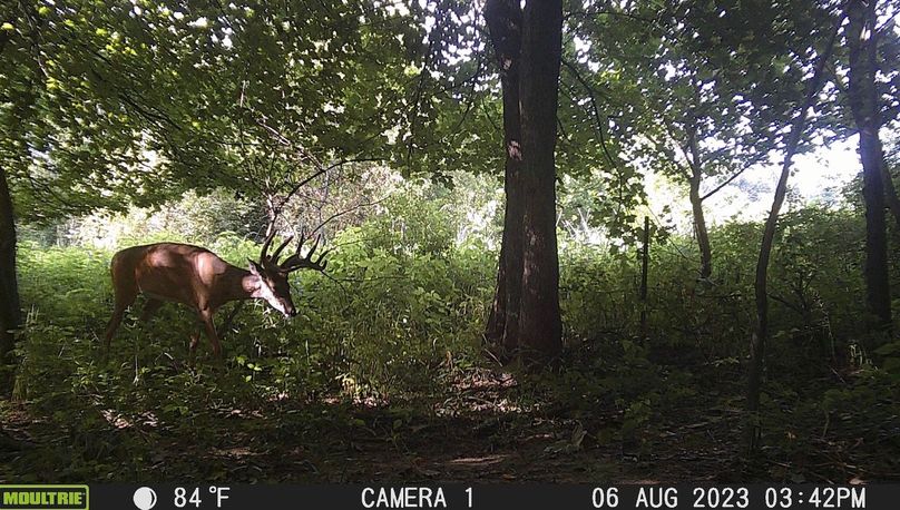 Screenshot 2023-08-16 at 12.21.48 PM