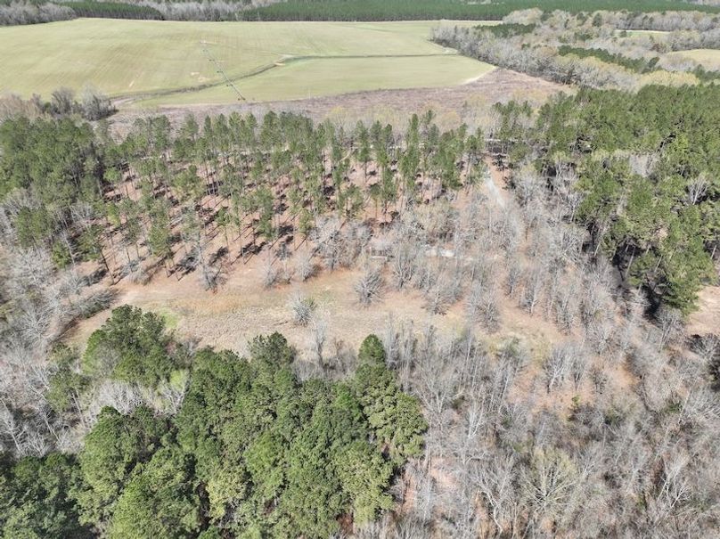 dji_fly_20240307_121134_153_1709831745340_photo