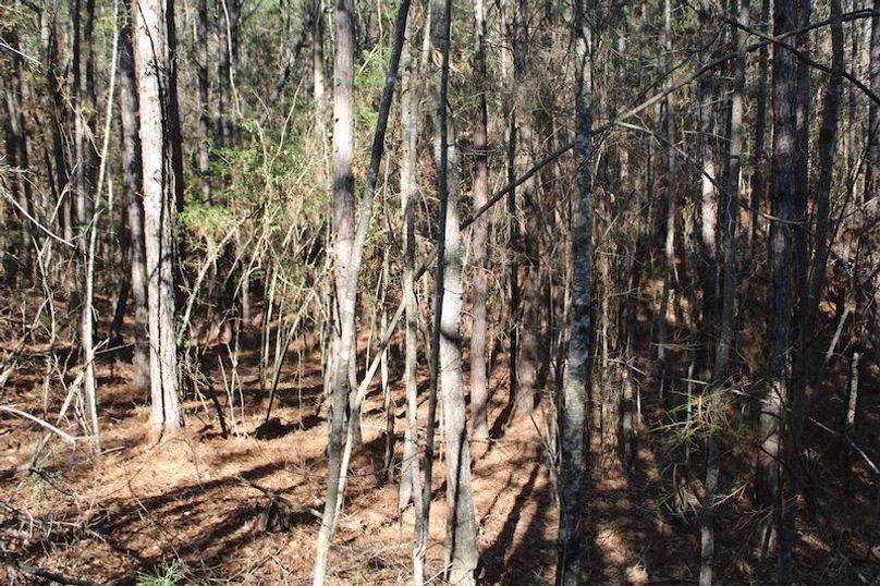 F698293D-A9A3-4D78-9930-6FC266248EF1_1_105_c