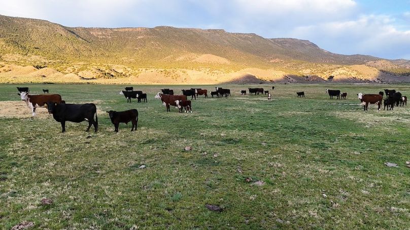 Lucky River Bottom Ranch19