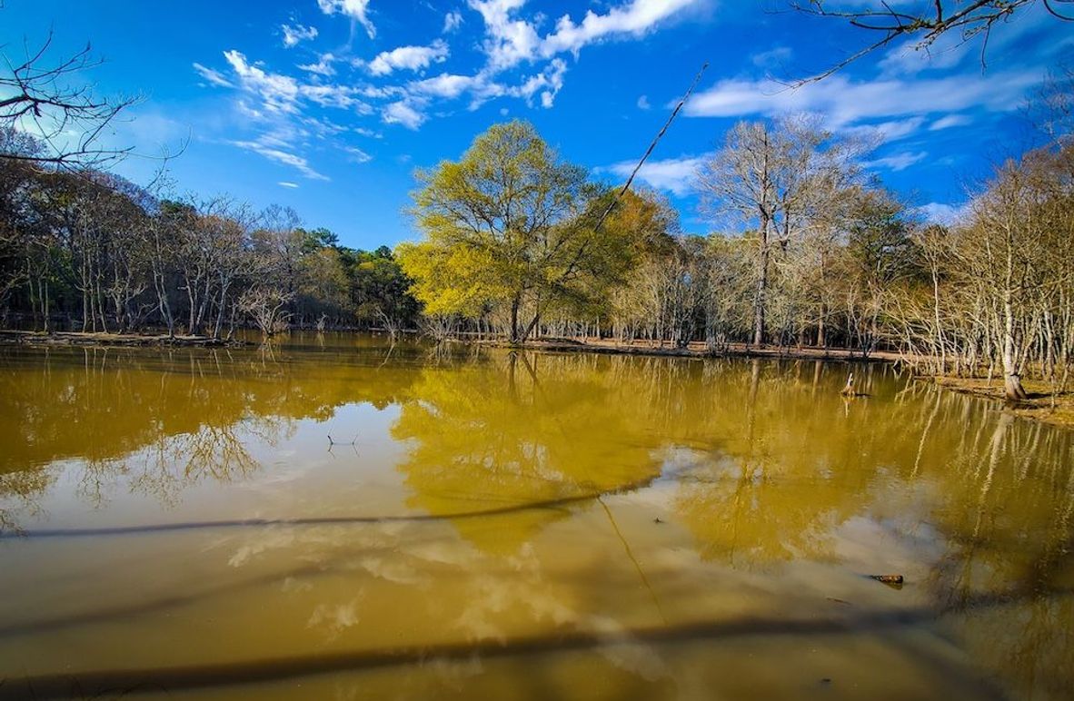 Copy of 20240301_161442