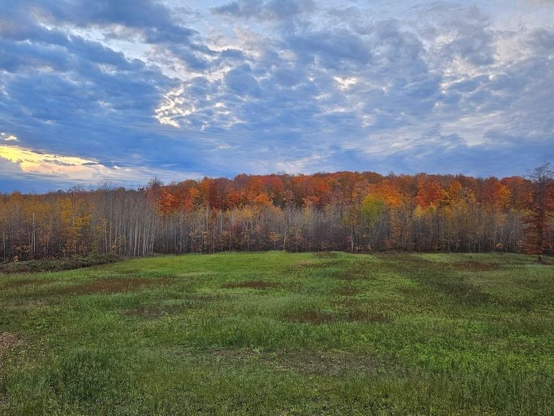 Copy of 1824152962782126289