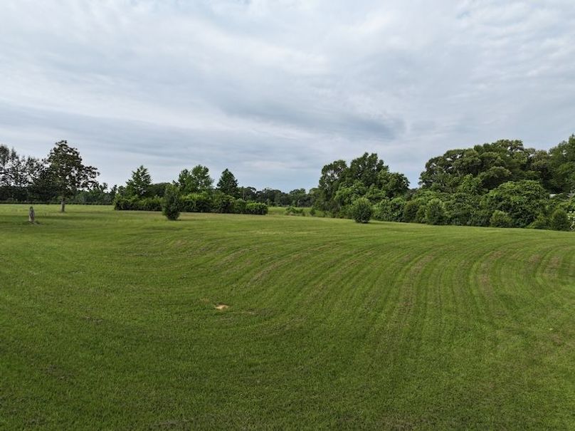 dji_fly_20250521_083702_0027_1748359437630_photo