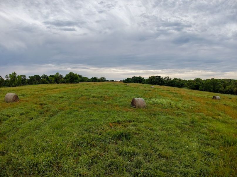 DJI_20250630073116_0333_D