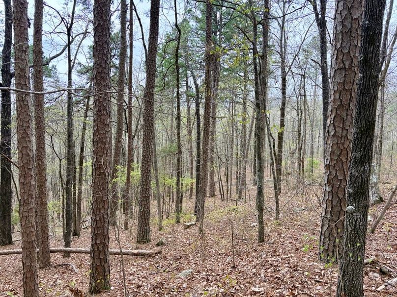 A577D5E5-A9BA-477E-BBE1-1A54D06864C0_1_201_a