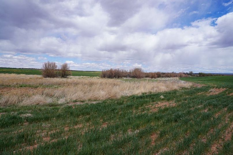 DSC02009