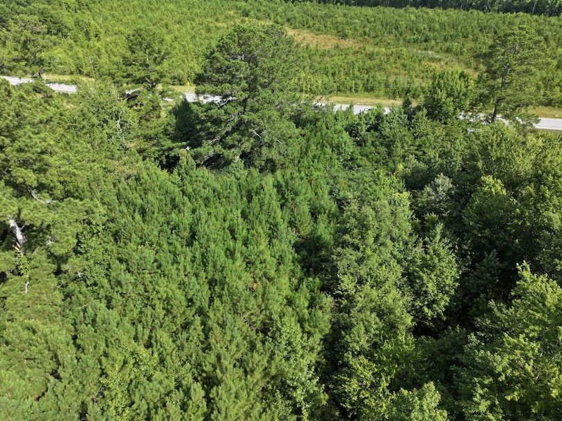 DJI_20240710101620_0003_D