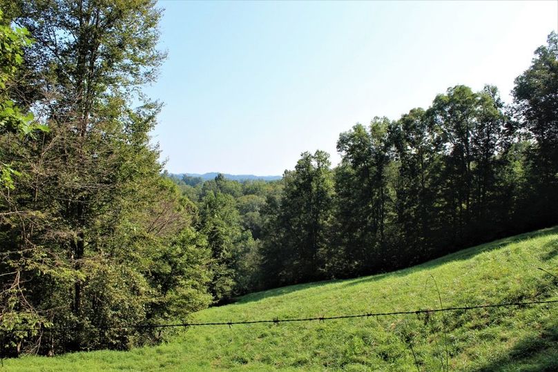 025 mid level pasture field in the south portion of the property