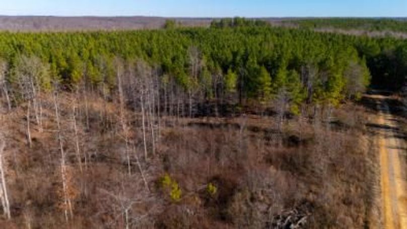 MCKINNON TRACT 18B-20