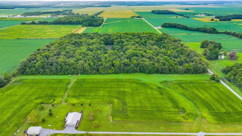 DJI_20240821065943_0005_D