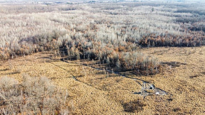 ClarK 160 WILLIAMS -32