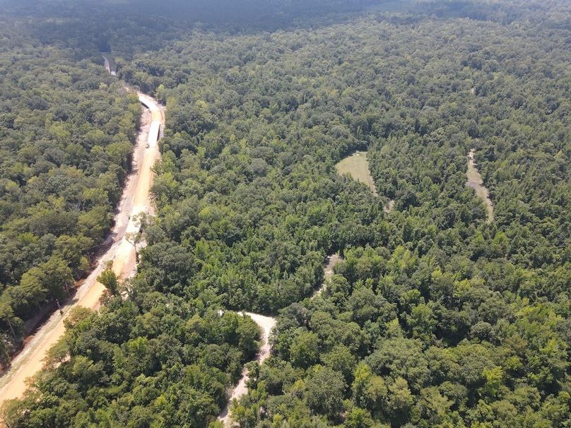 dji_fly_20240615_120730_174_1718471280052_photo