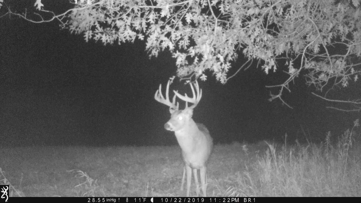 Large Recreational Hunting Property With Lake Cabin In Northwest Wi