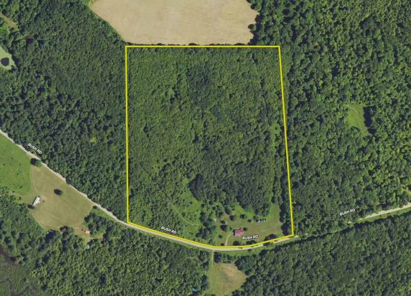 Screen Shot 2023-10-17 at 3.25.04 PM