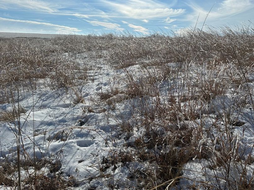 486AC6C8-B42C-4E8F-AB3E-CEBDE64C8B57_1_105_c