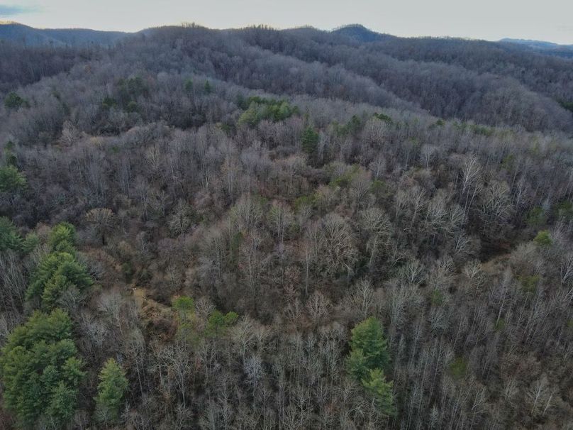 019 overhead view looking over the nice flat-2