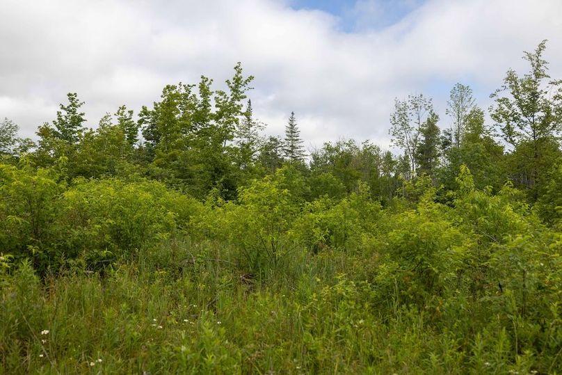 Mackinac 160 Leppiaho-25