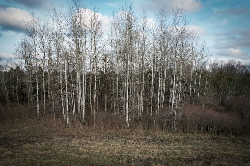 StLawrence_142.7_Bosse_Photos_60