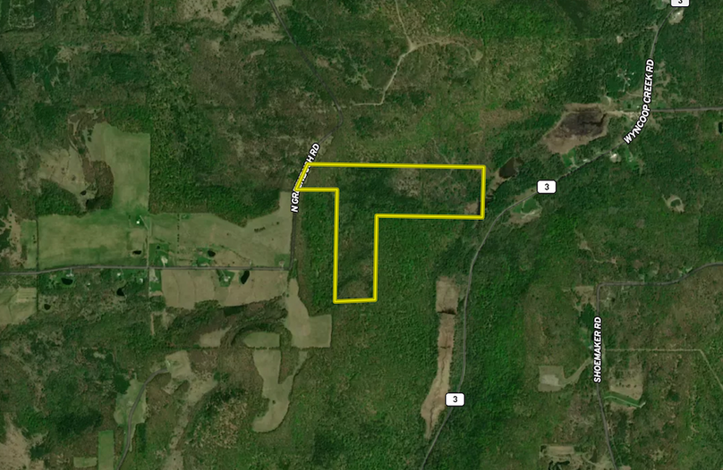 Chemung_78.26_Gutchess_Lumber_Landid_6