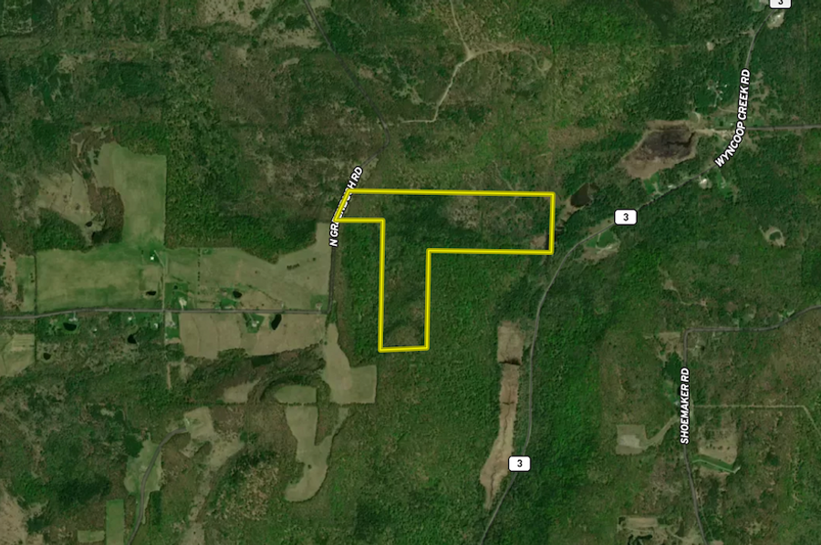 Chemung_78.26_Gutchess_Lumber_Landid_6