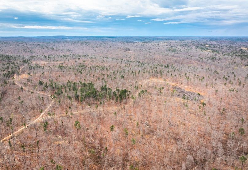 DJI_20250403120606_0575_D