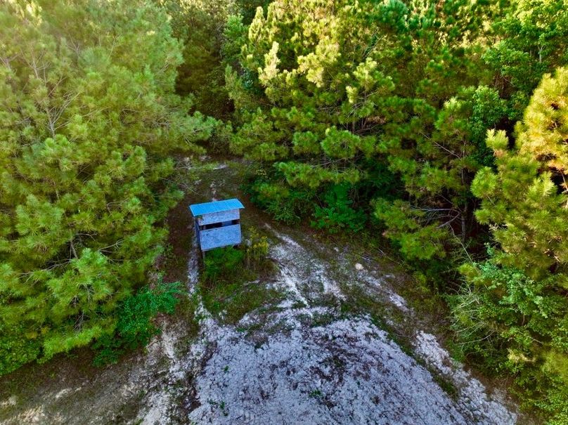 36E2370B-FC30-4C8F-AC7E-A099085D718E_1_105_c-2