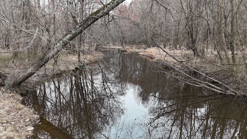 dji_fly_20260225_113524_0121_1772037653379_photo