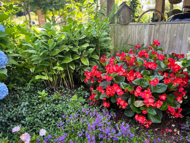 Oswego_47.53_Jarvis_Photos_35