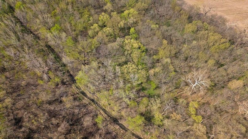 DJI_0019
