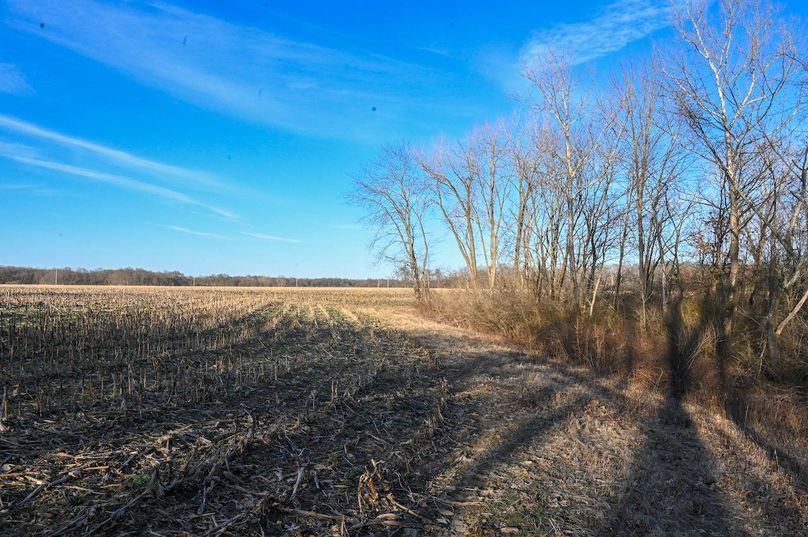 vandalia 450 (2)-2195