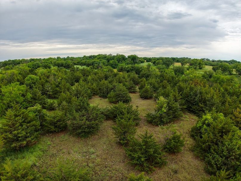 DJI_20250630073253_0337_D