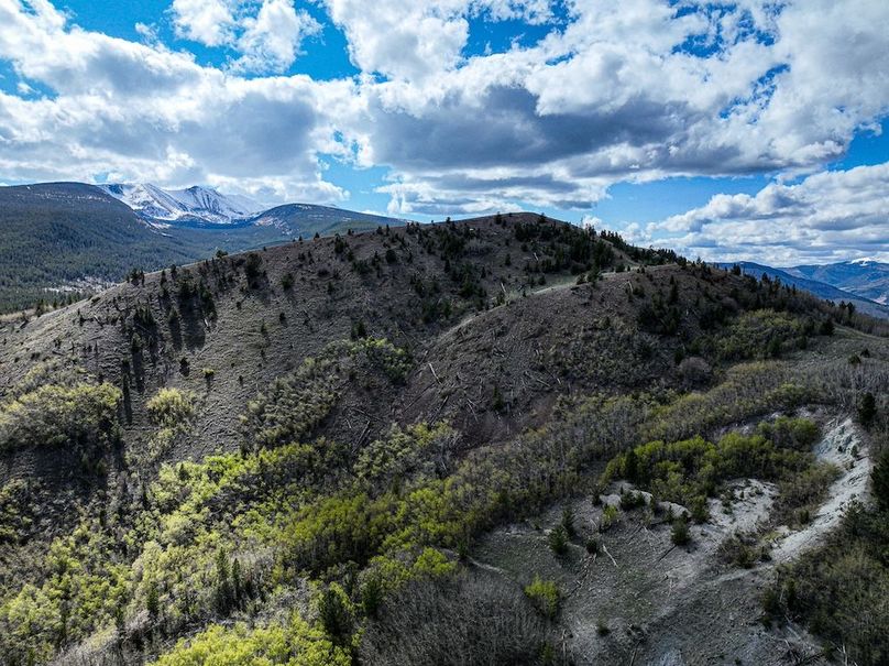 DJI_0220