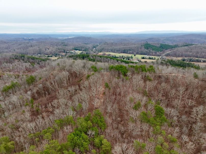 Roane Co TN 396 20251127_64