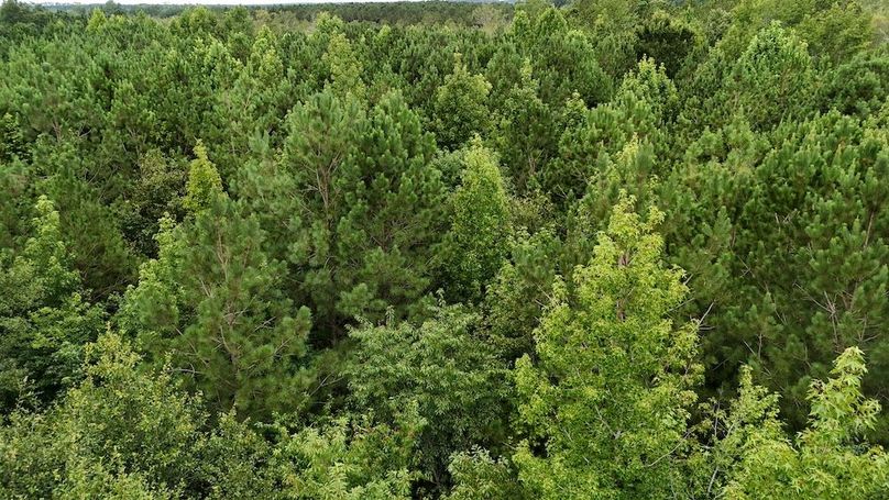 dji_fly_20250715_111030_0591_1752592276322_photo