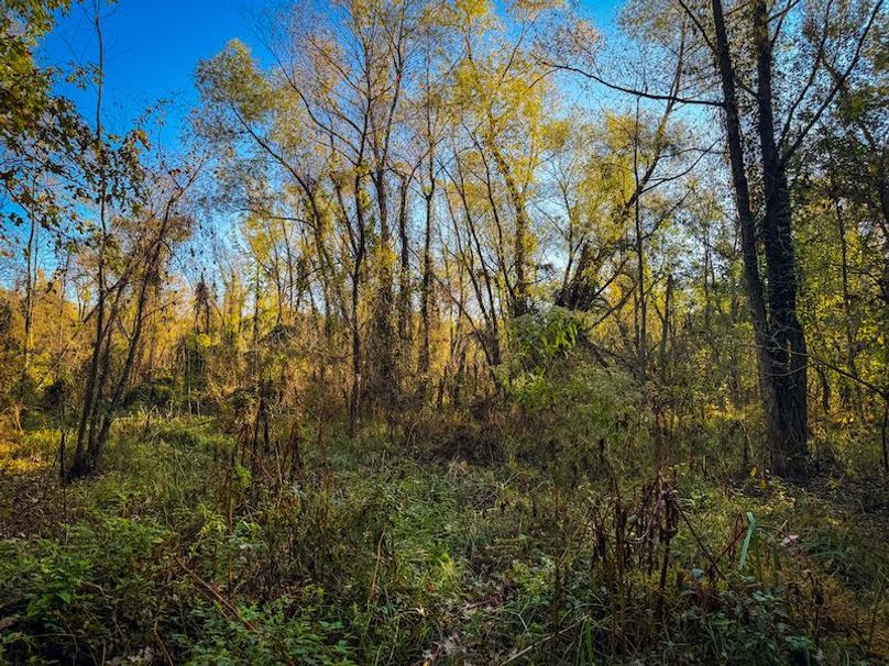 Clay 302.7 Henderson-17