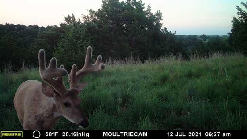 image638376310803721072