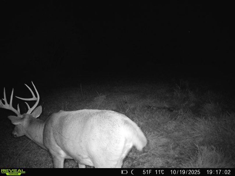 860516064895174-10-3-10192025191702-W1002601