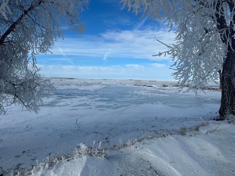 FDE62EF3-A64D-4360-93B7-5D163A7F8684_1_105_c