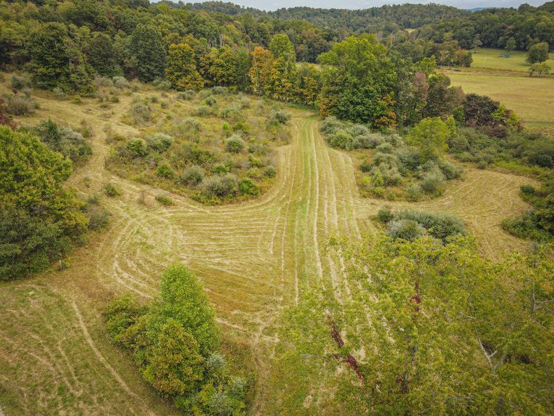 dji_fly_20230923_082018_122_1695471673008_photo