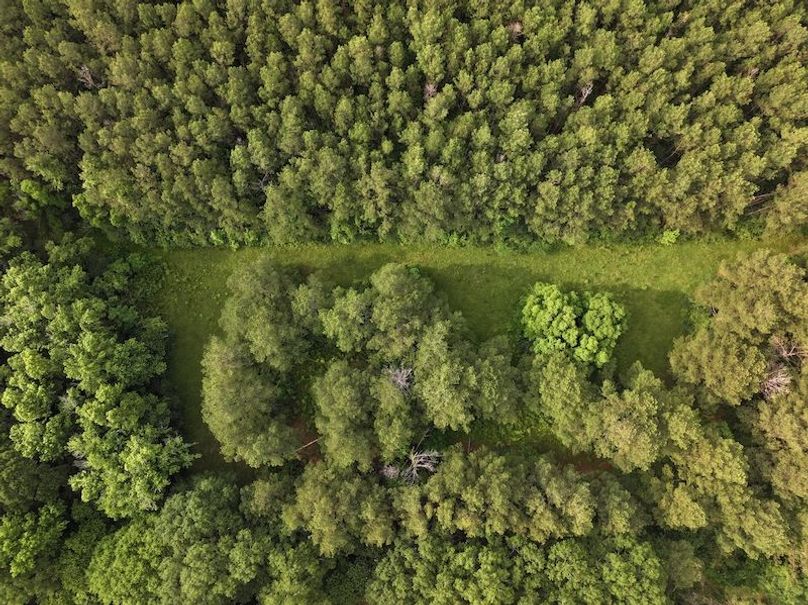 dji_fly_20250521_084048_0036_1748359416978_photo
