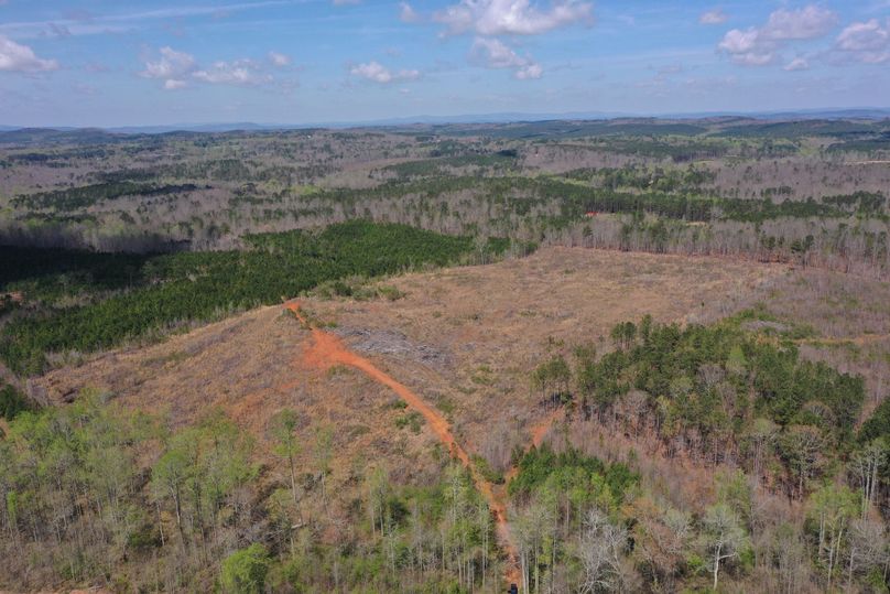 Copy of 400ftCardinal-2