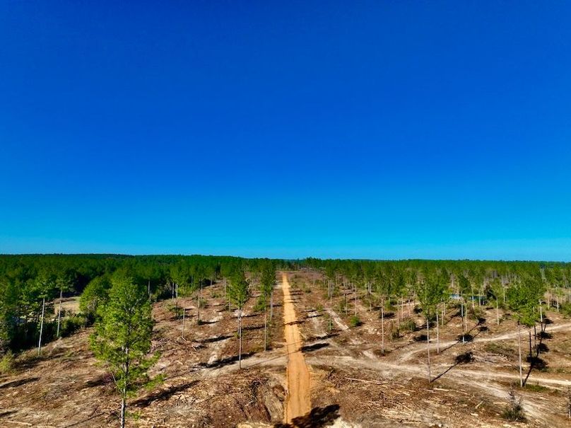 D6165C39-EF0A-49FC-92DC-8E27497B1890_1_201_a