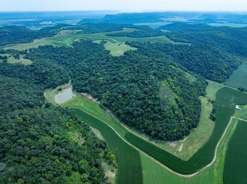 New Albin 8_8 edits-55