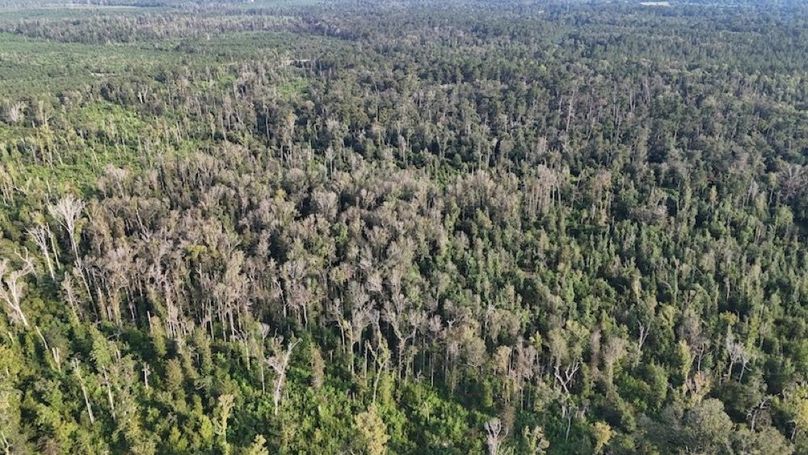 dji_fly_20250903_215806_0013_1756926961641_photo